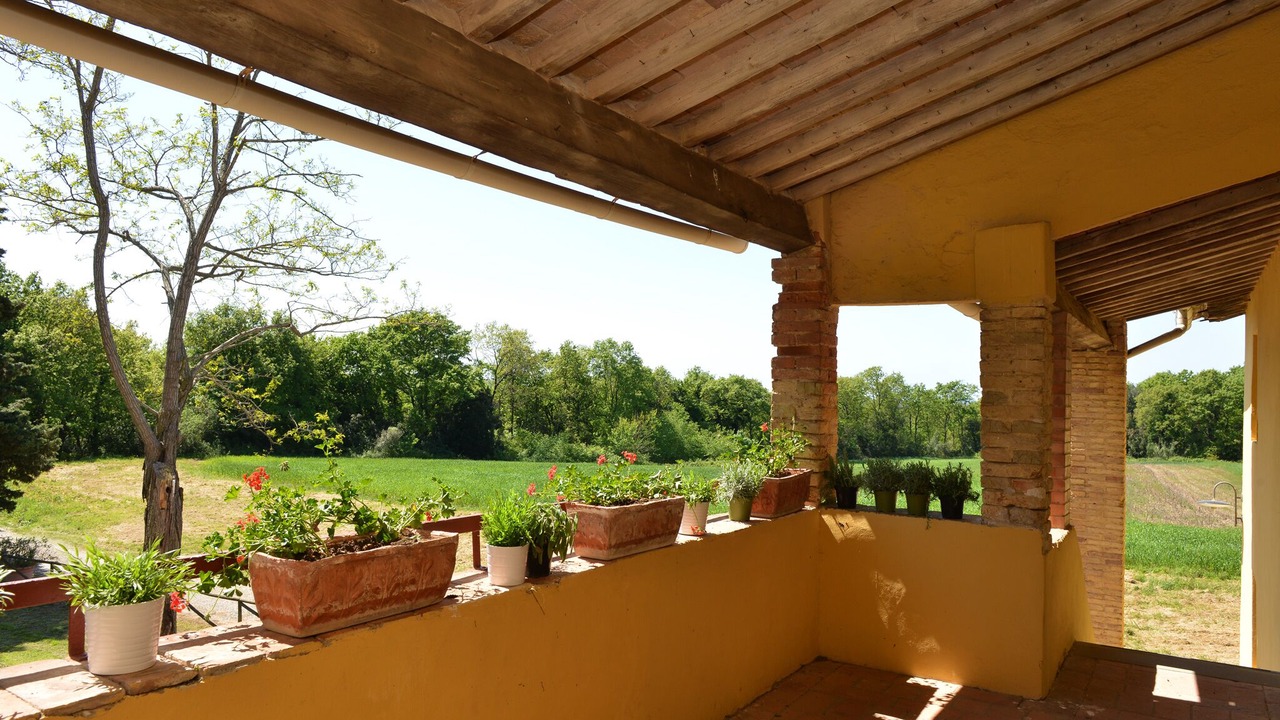 Photo of Outdoor in Collesalvetti