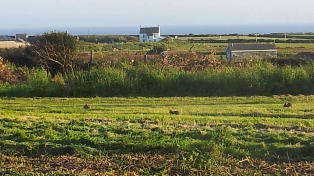 Photo of Others in Sennen