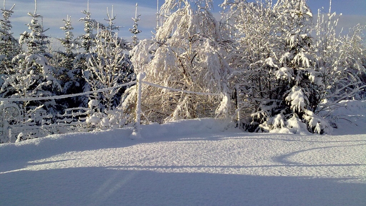 Photo of Outdoor in Murthly