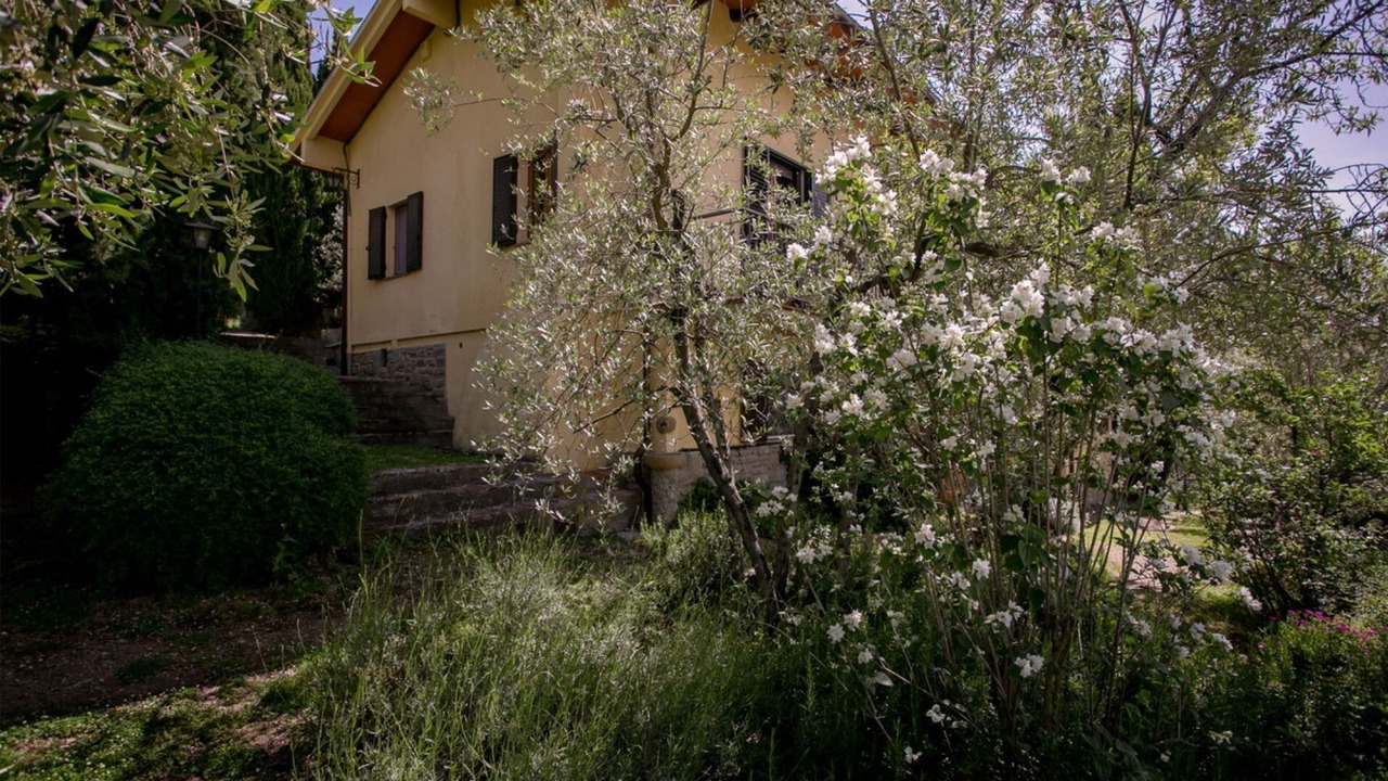 Photo of Outdoor in Montecchio