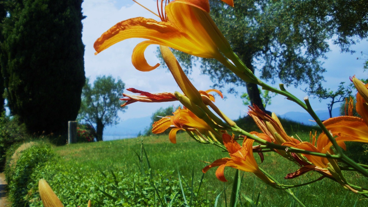 Photo of Outdoor in Garda