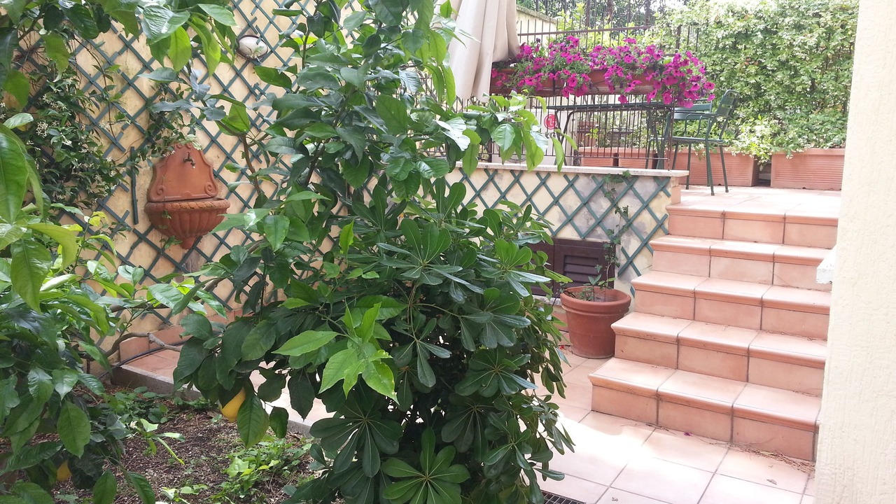 Photo of Outdoor in Gianicolense