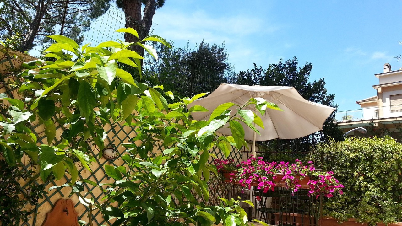 Photo of Patio Balcony in Gianicolense