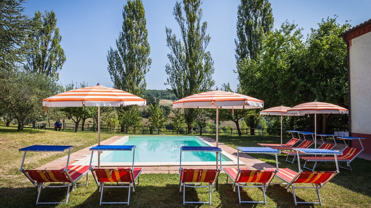 Photo of Outdoor in Pergola