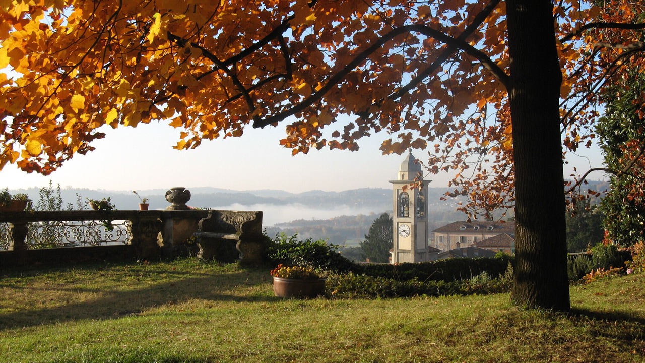Photo of Outdoor in Erba