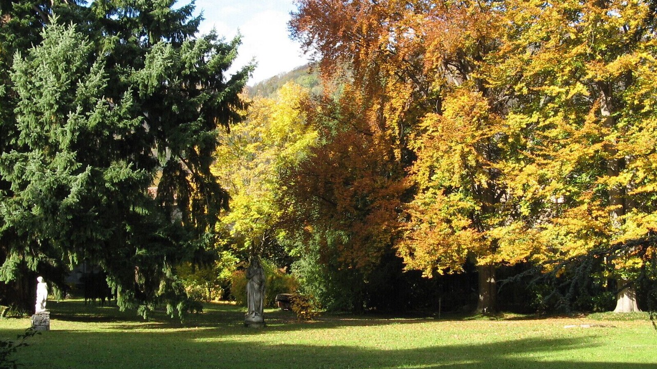 Photo of Outdoor in Erba