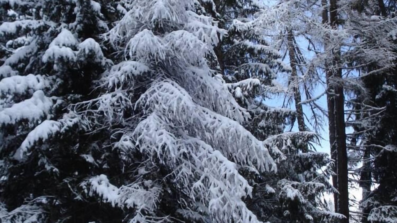 Photo of Outdoor in Oga