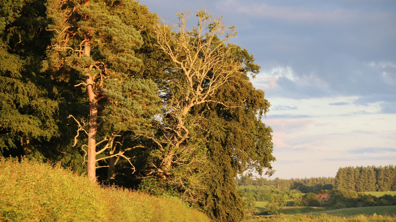 Photo of Outdoor in Murthly