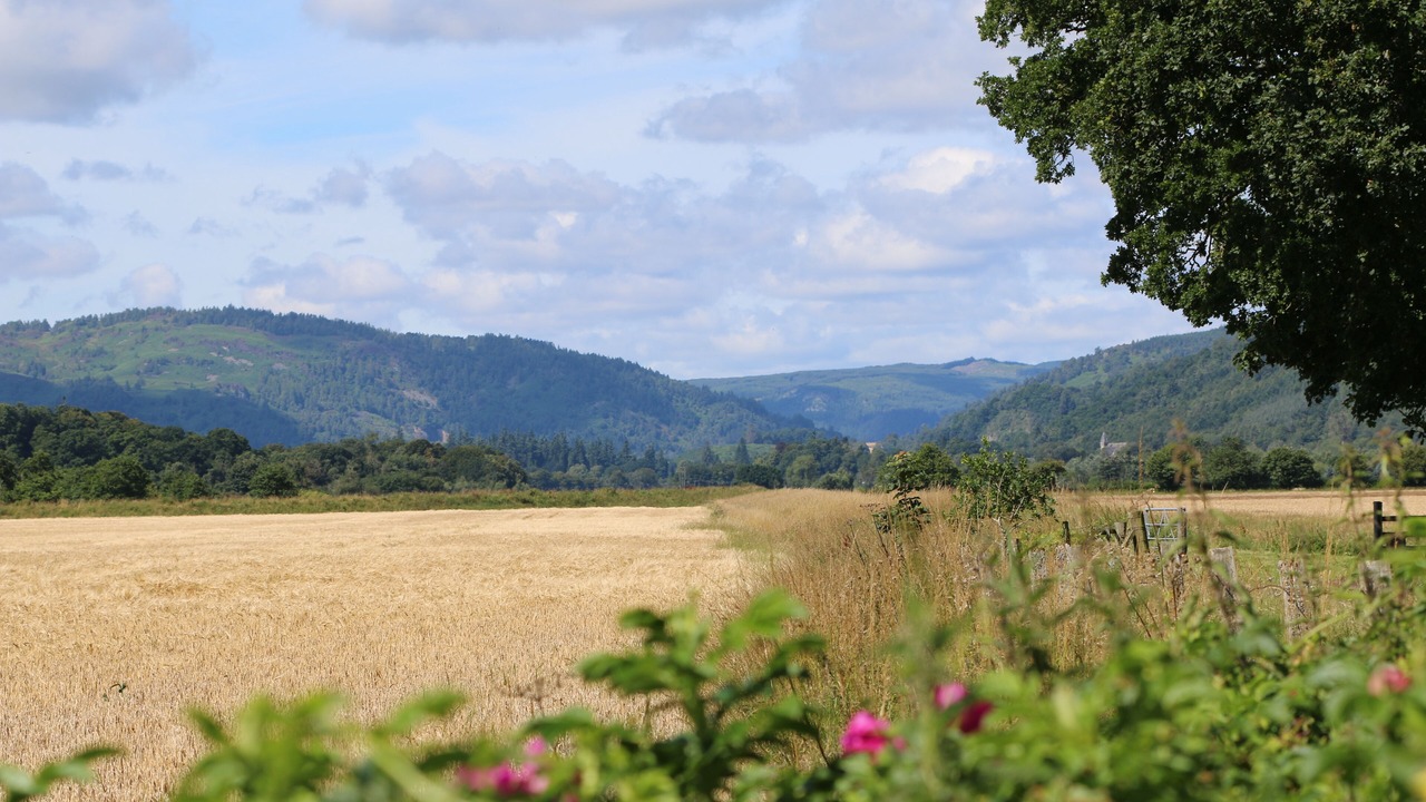 Photo of Outdoor in Murthly