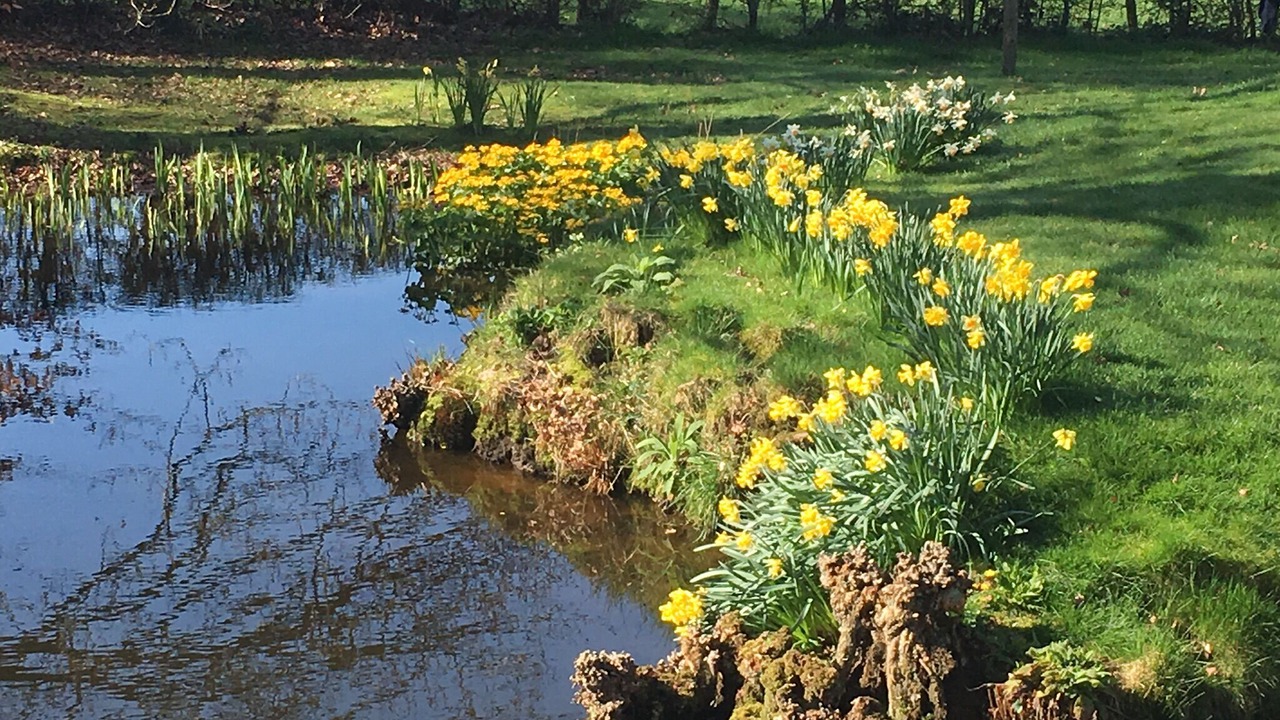 Photo of Outdoor in Uckfield