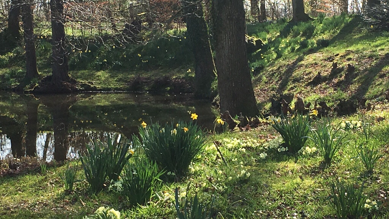 Photo of Others in Uckfield