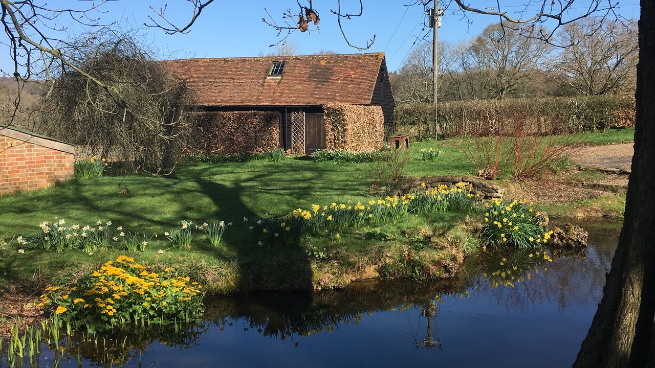 Photo of Outdoor in Uckfield
