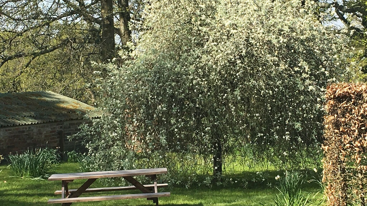 Photo of Outdoor in Uckfield