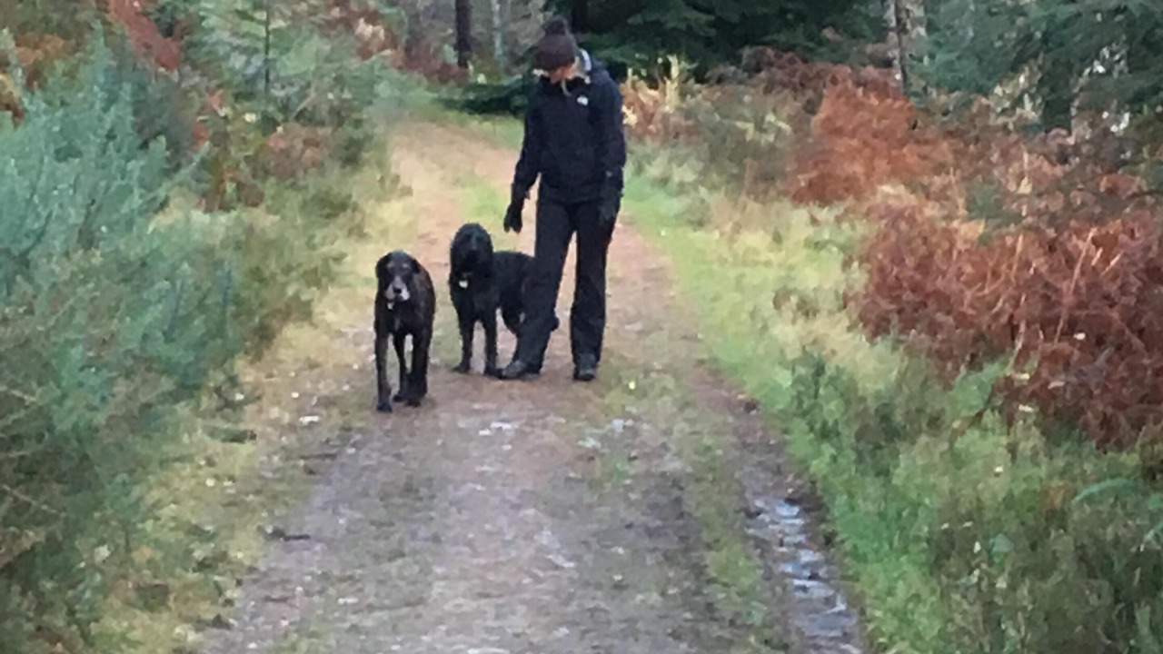 Photo of Others in Fort Augustus
