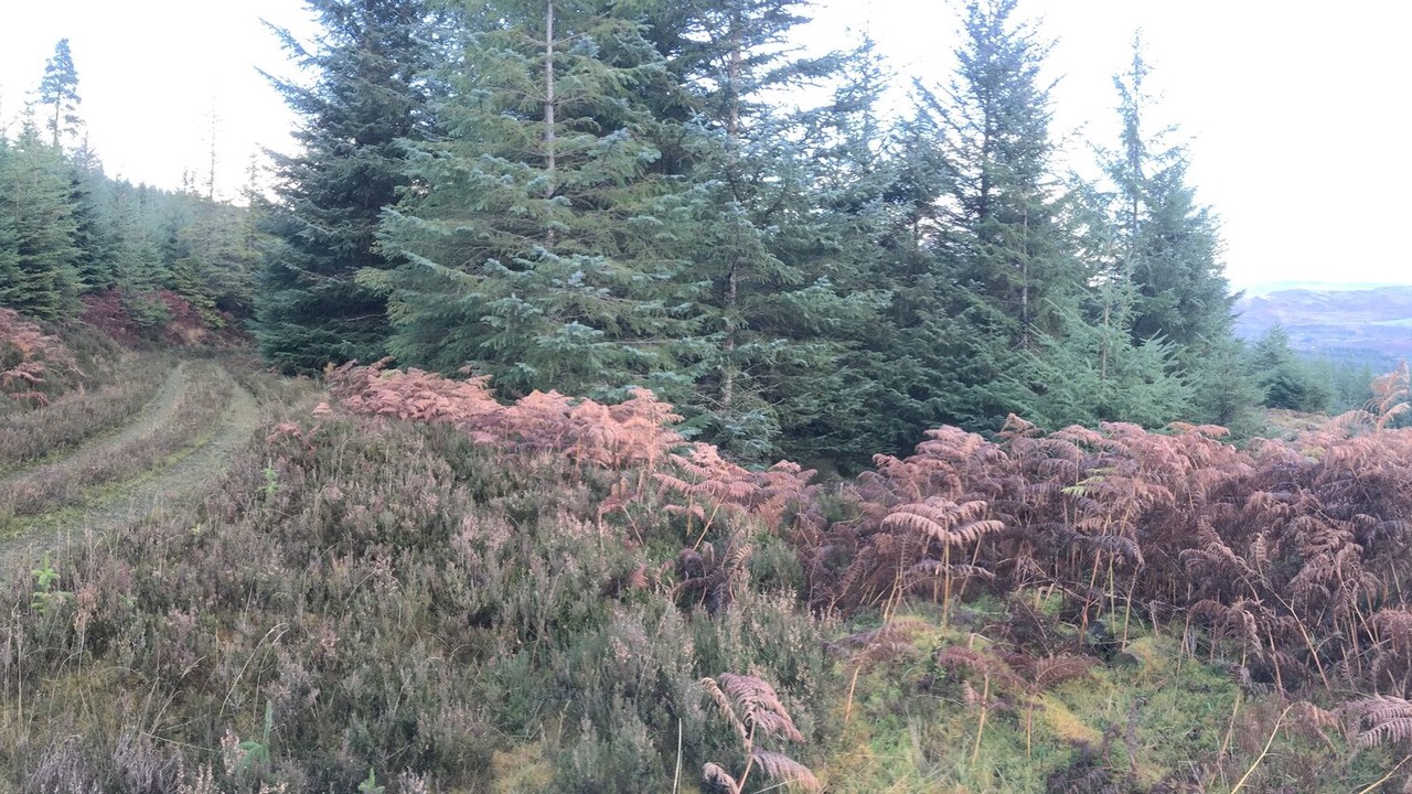 Photo of Others in Fort Augustus