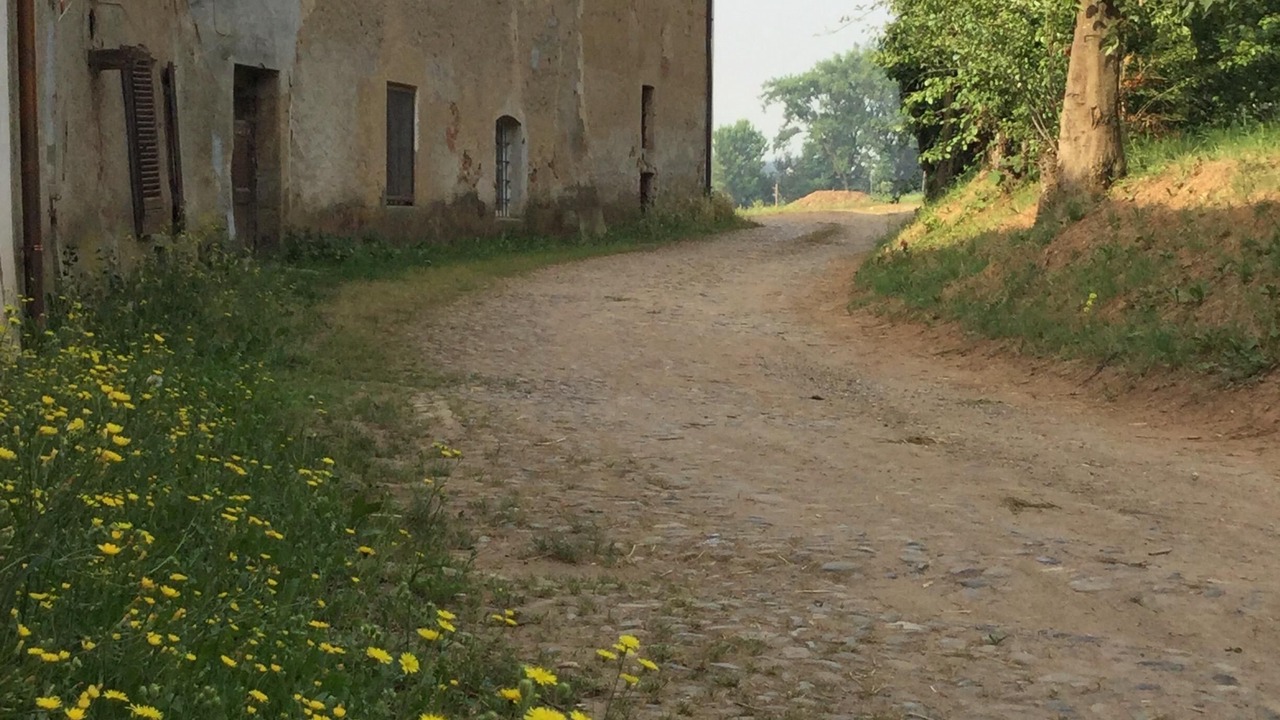 Photo of Outdoor in Druento