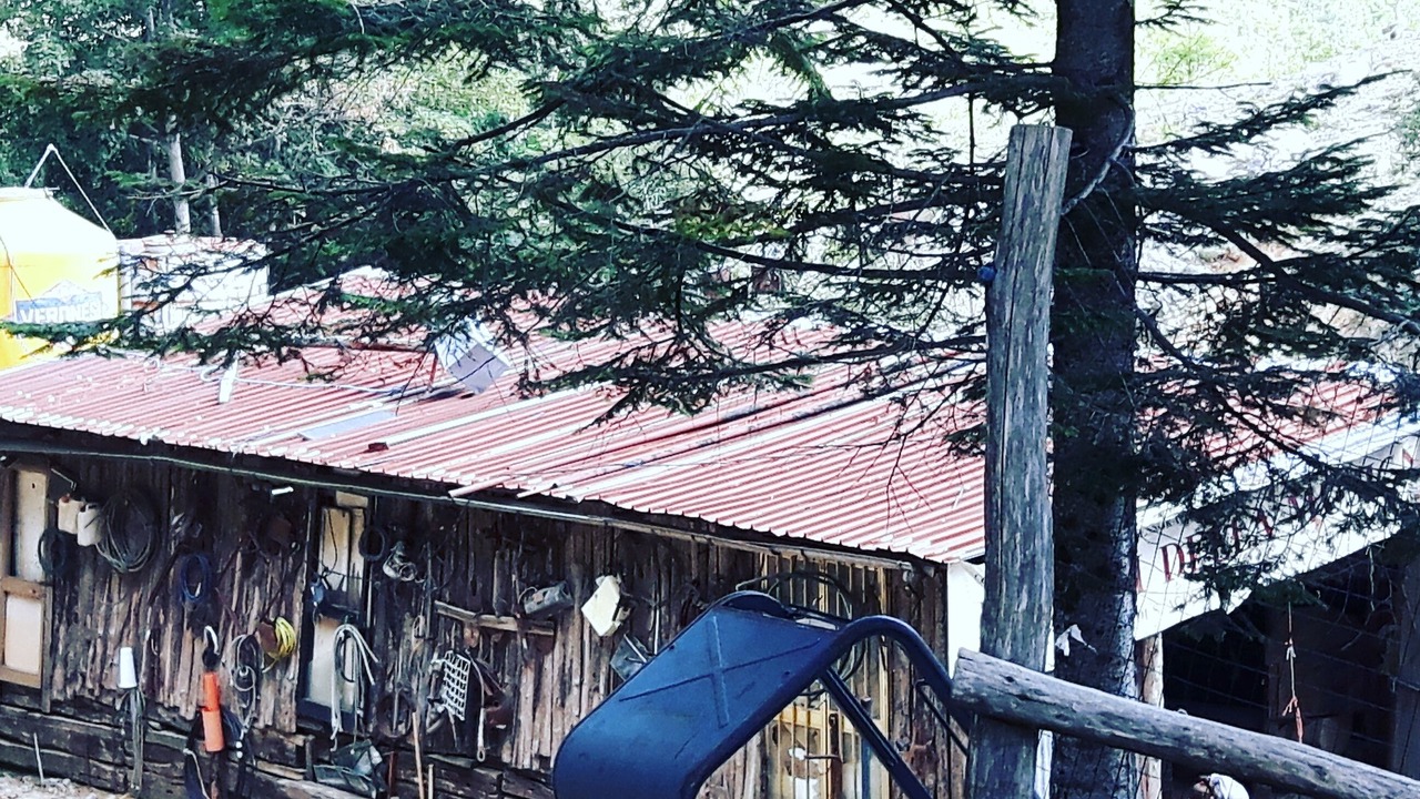 Photo of Outdoor in Lucca