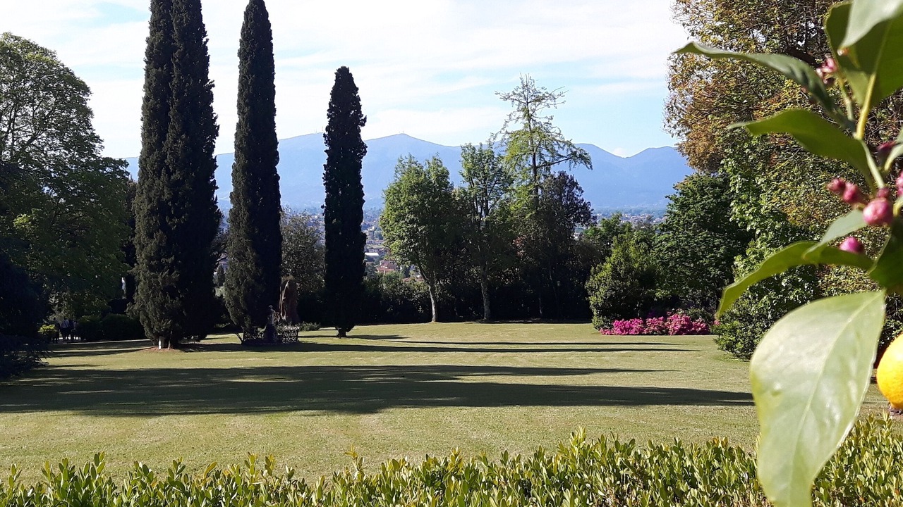 Photo of Outdoor in Lucca