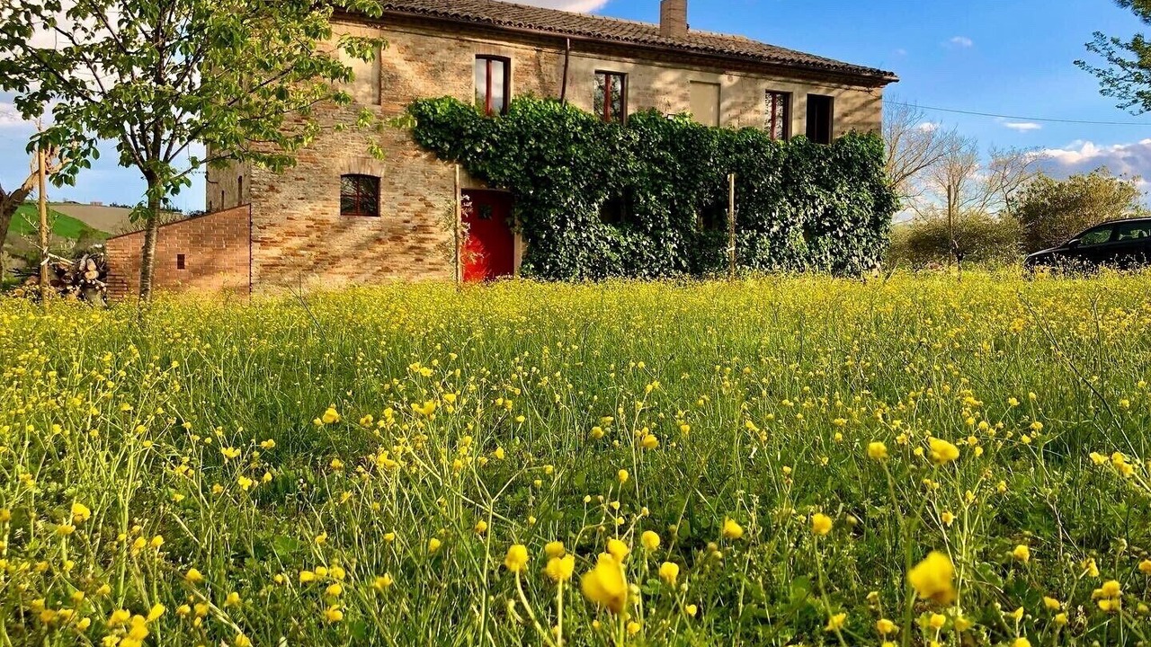 Photo of Others in Cingoli