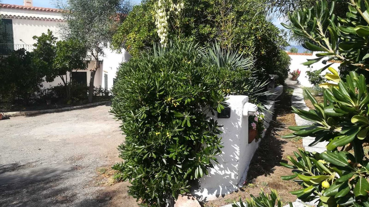 Photo of Outdoor in Porto Alabe