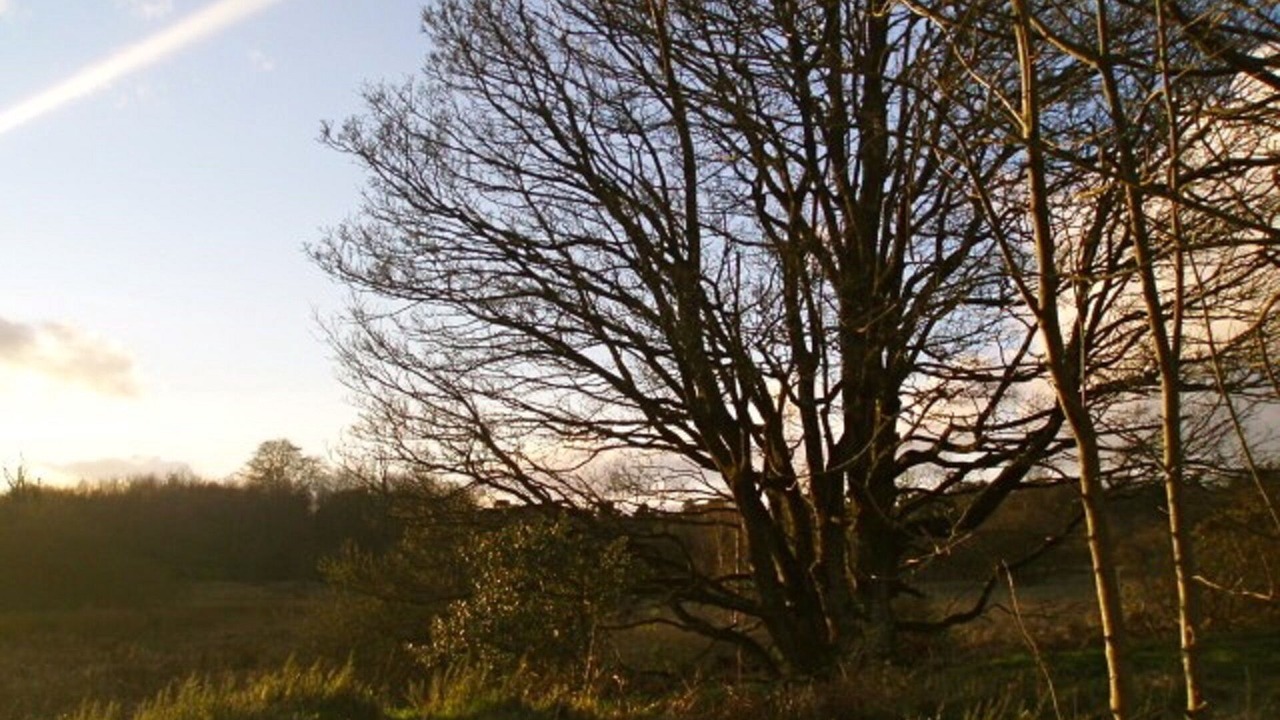Photo of Outdoor in Bushmills