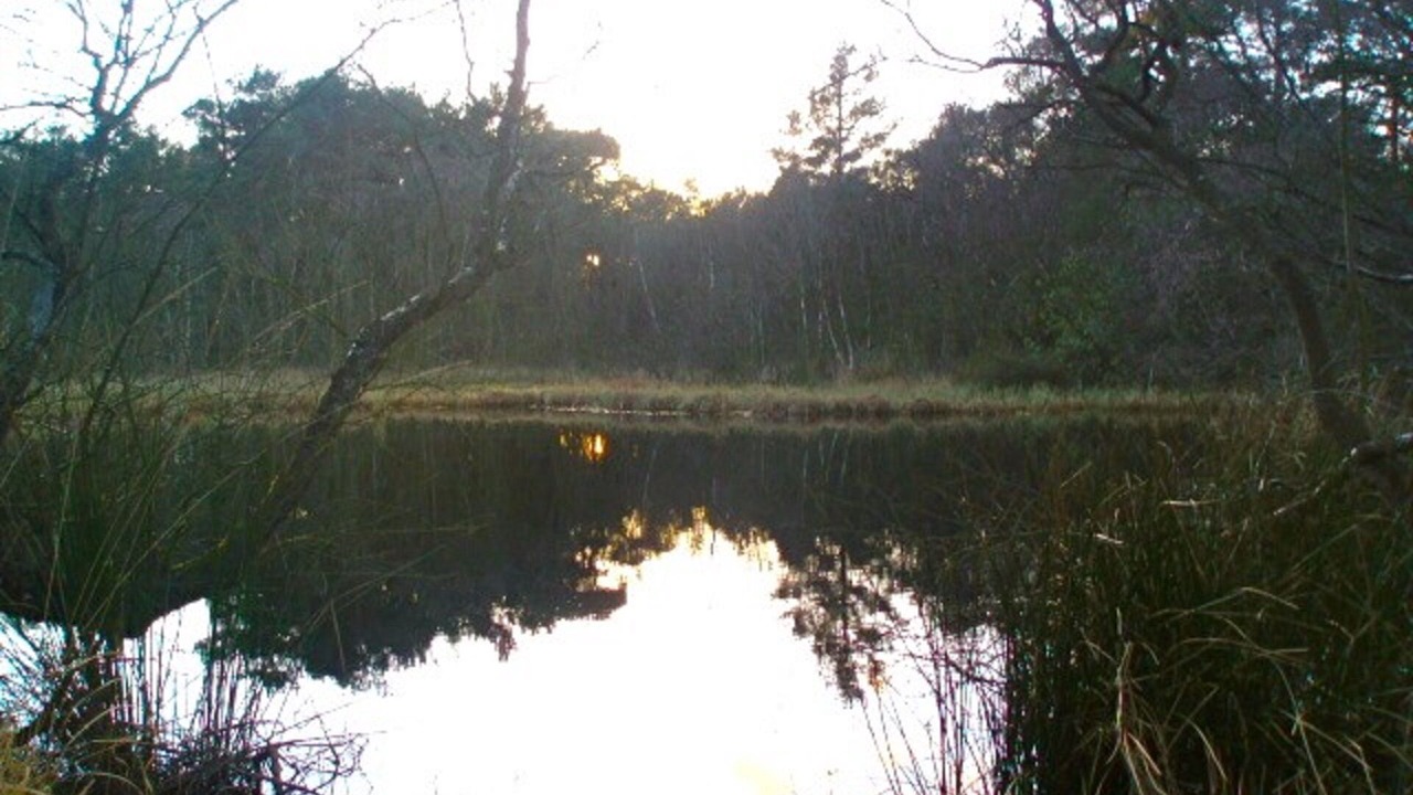Photo of Outdoor in Bushmills