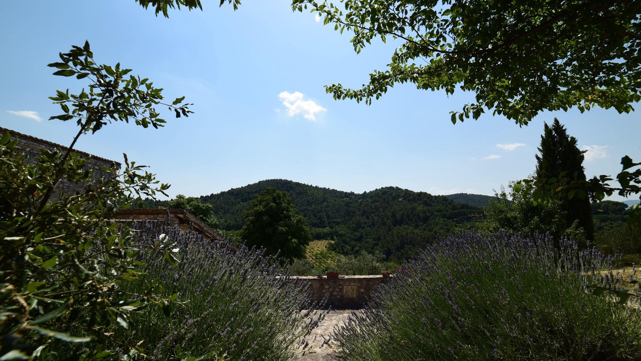 Photo of Outdoor in Spoleto