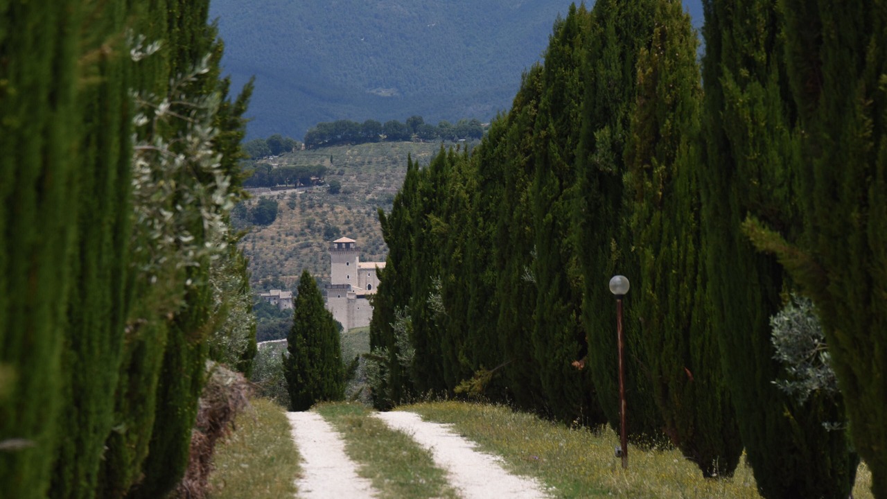 Photo of Outdoor in Spoleto