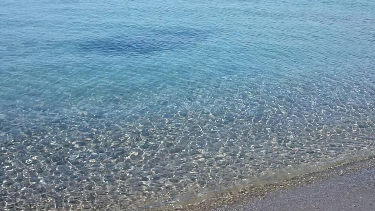 Photo of Others in Marina di Ascea