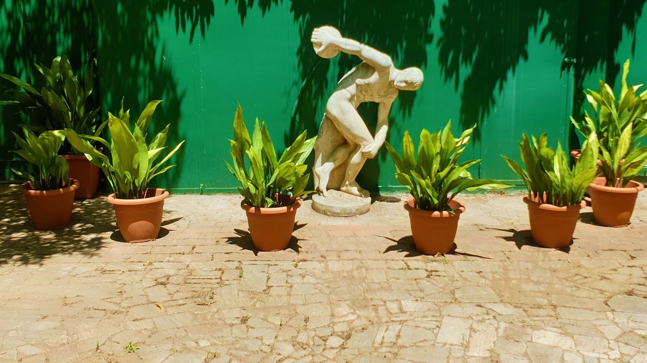 Photo of Outdoor in Salerno