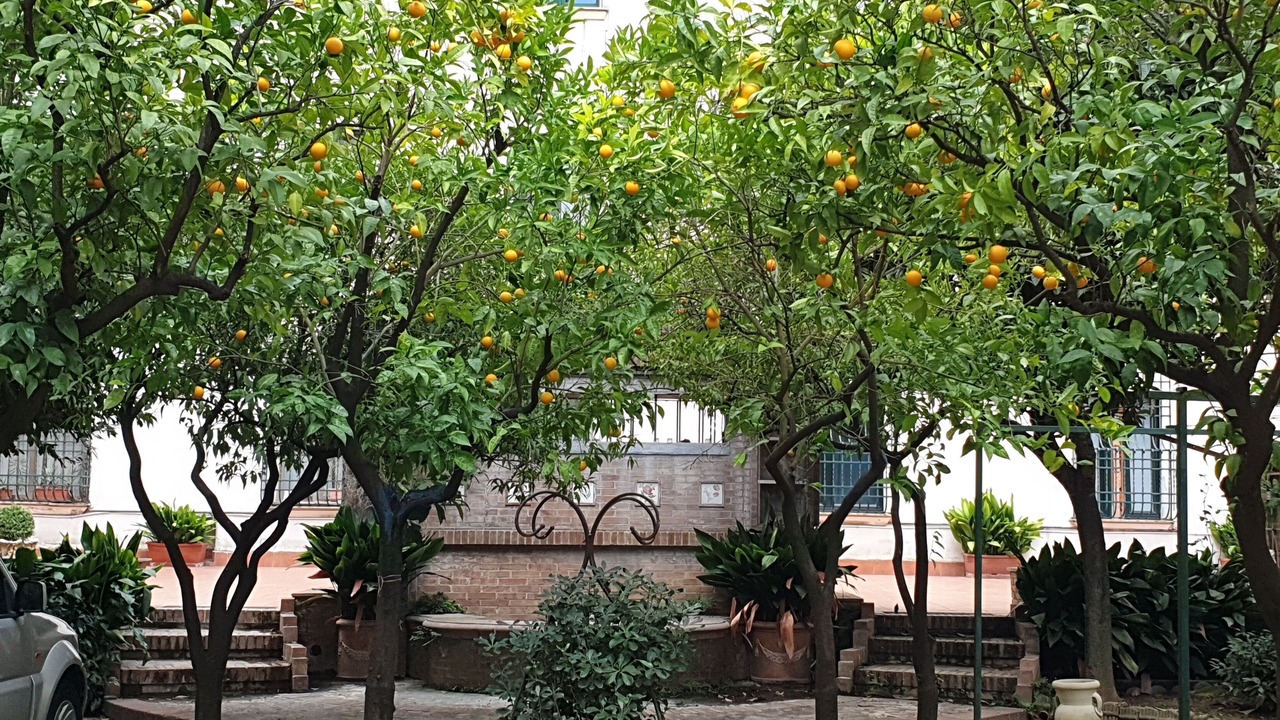 Photo of Outdoor in Salerno