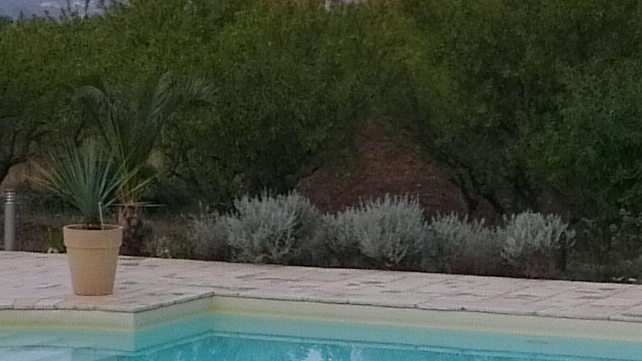 Photo of Others in Ostuni