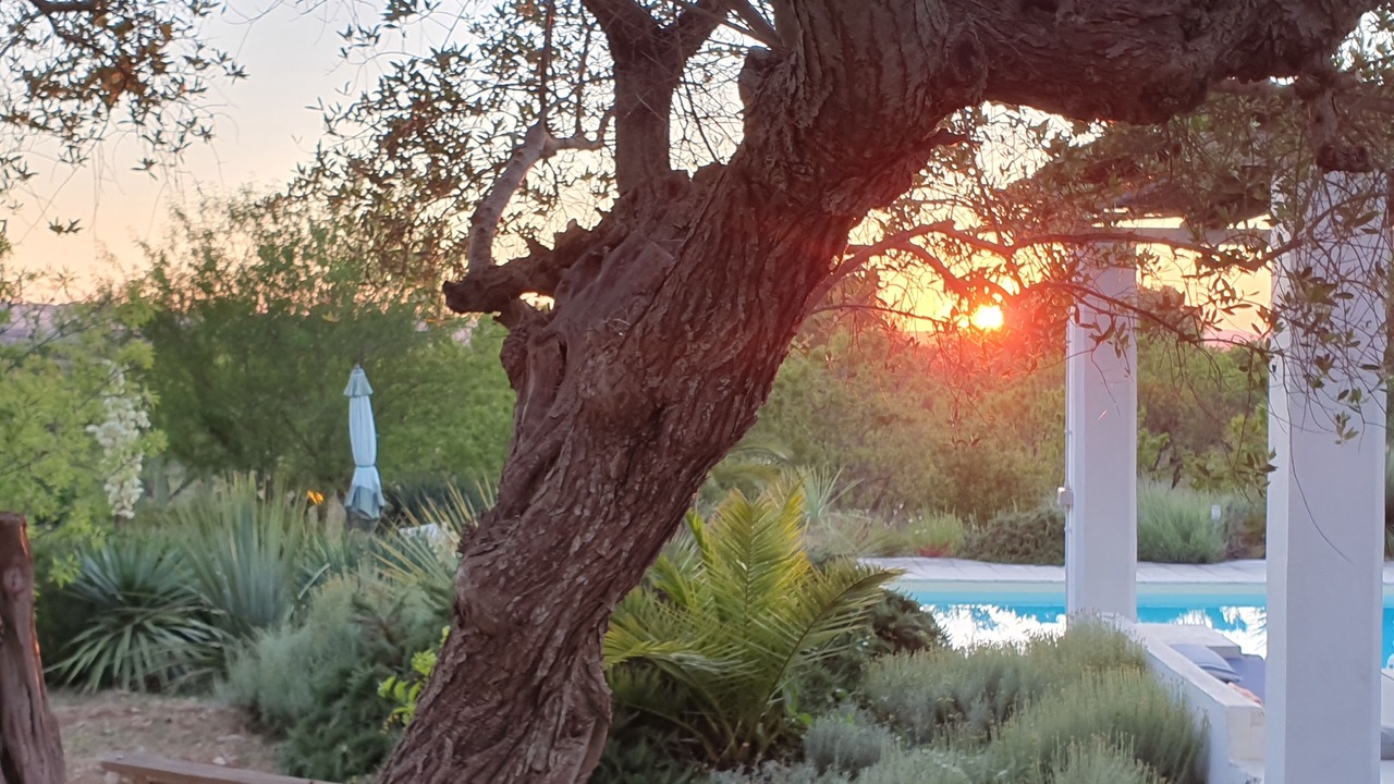 Photo of Others in Ostuni