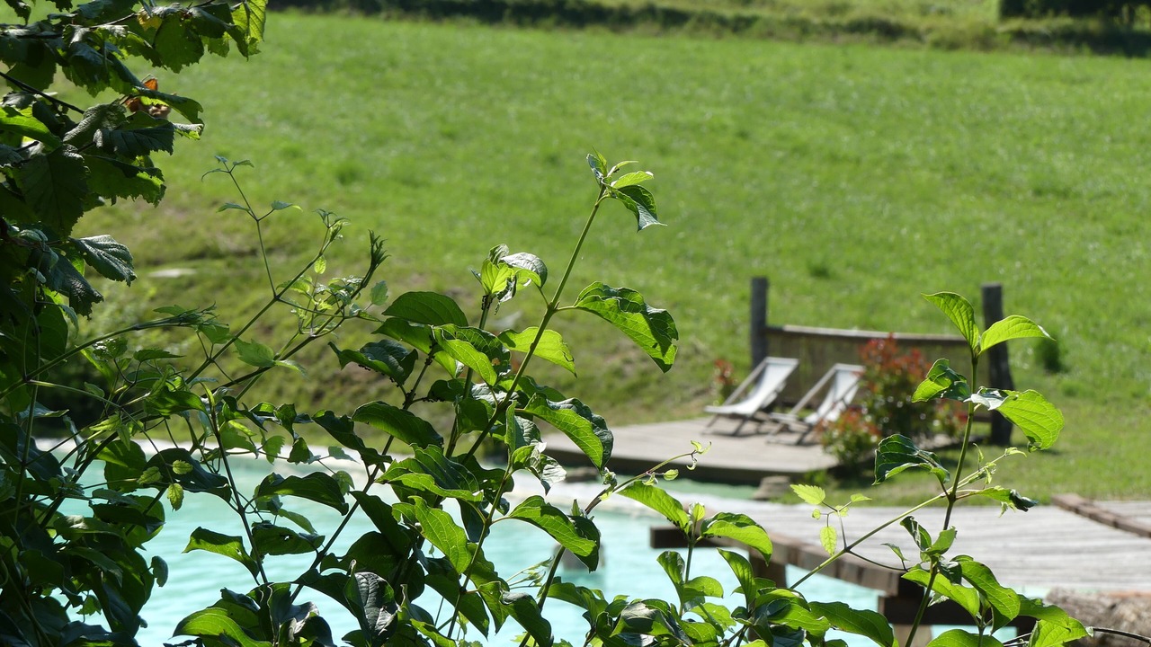 Photo of Outdoor in Mombarcaro