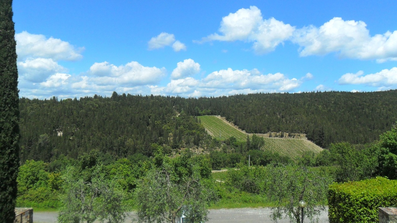 Photo of Outdoor in Castellina in Chianti