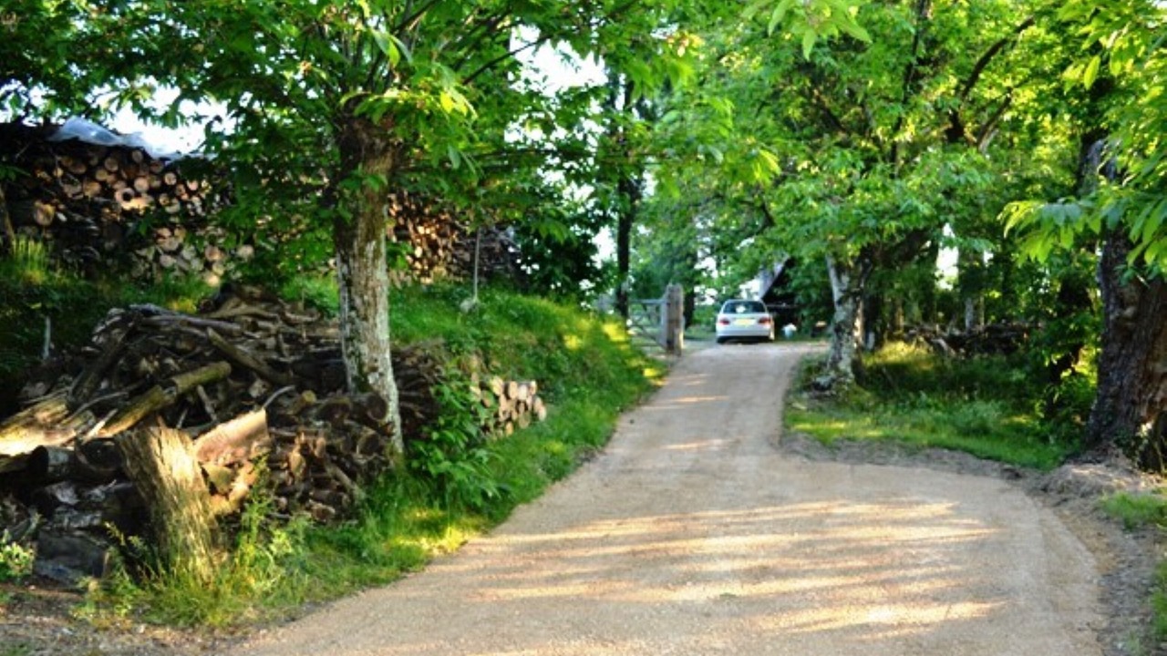 Photo of Others in Nozanno