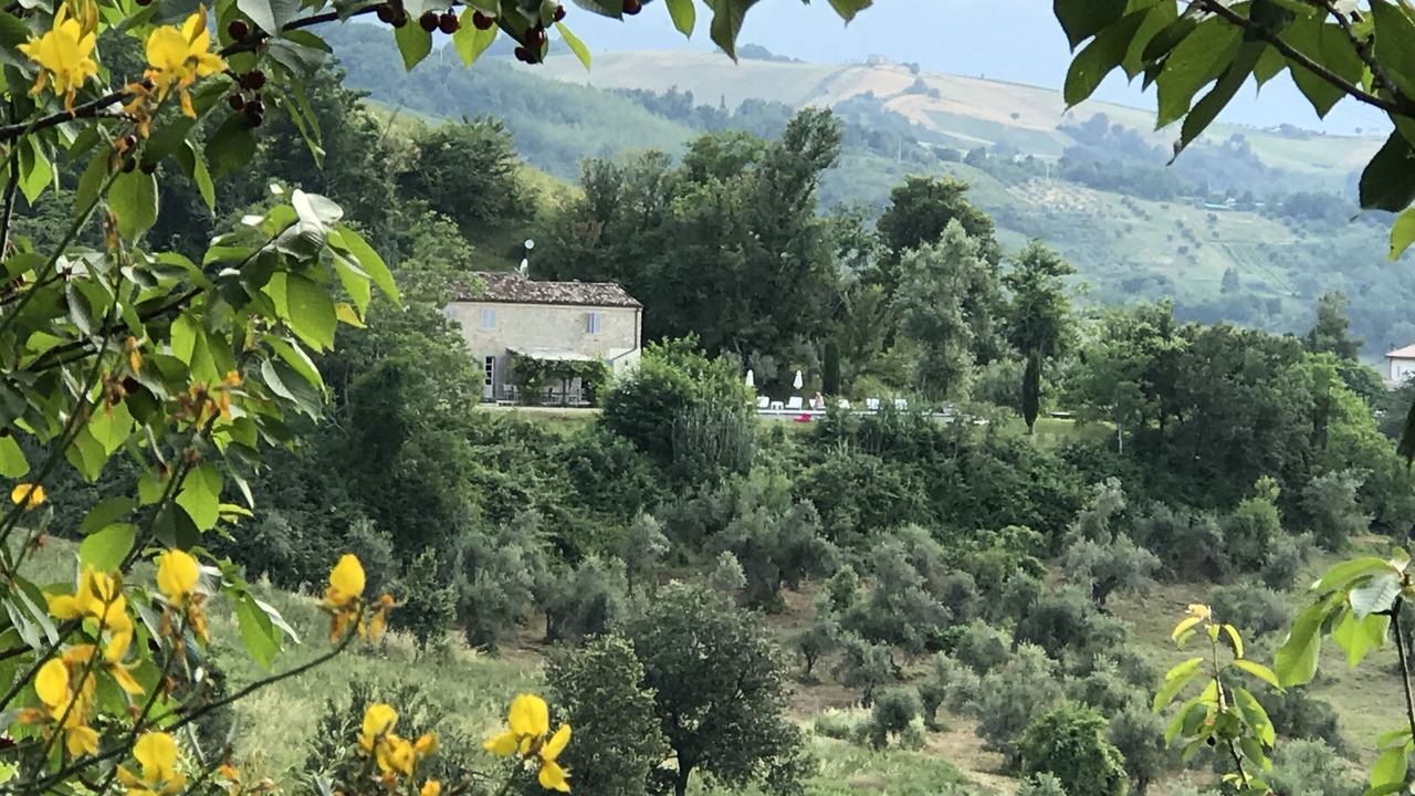 Photo of Others in Bisenti