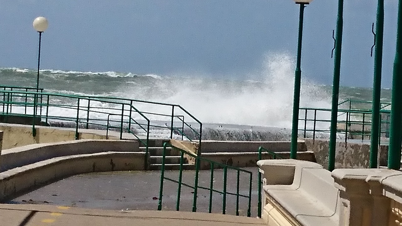 Photo of Others in Livorno