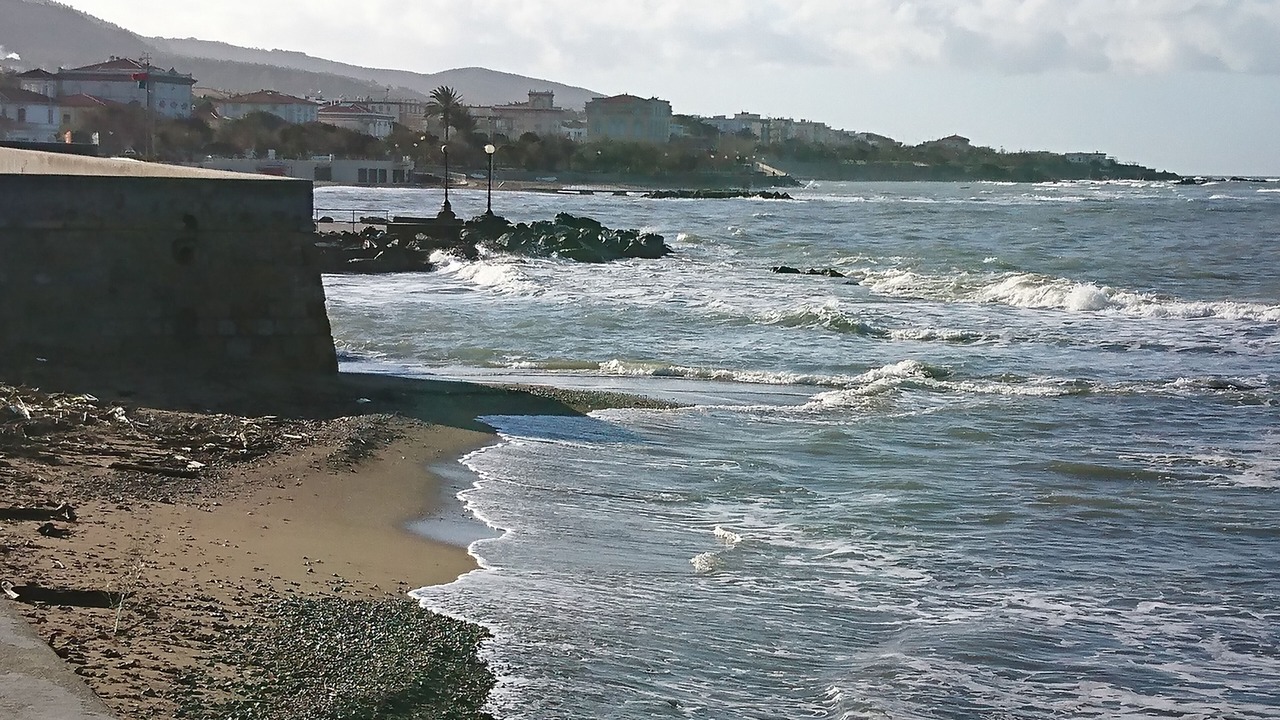 Photo of Others in Livorno