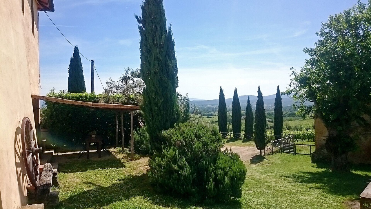 Photo of Others in Bucine