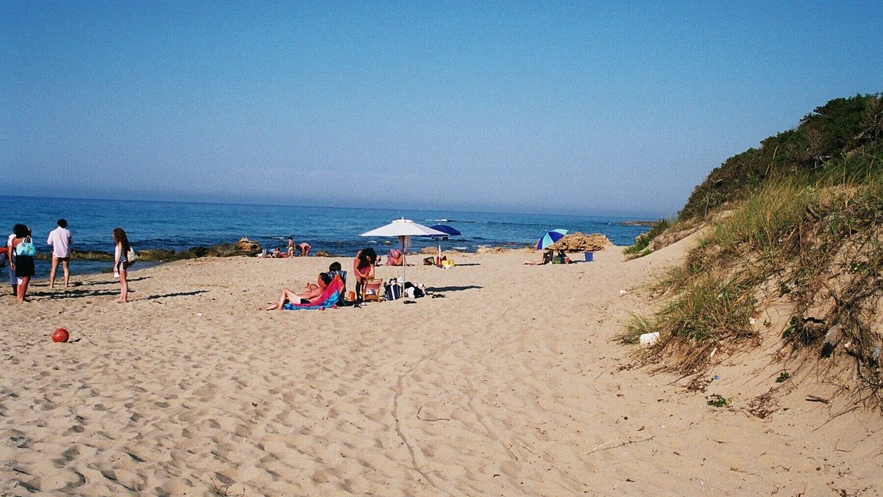 Photo of Others in Villanova