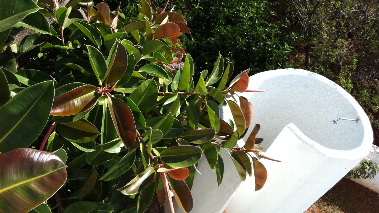 Photo of Outdoor in Villanova