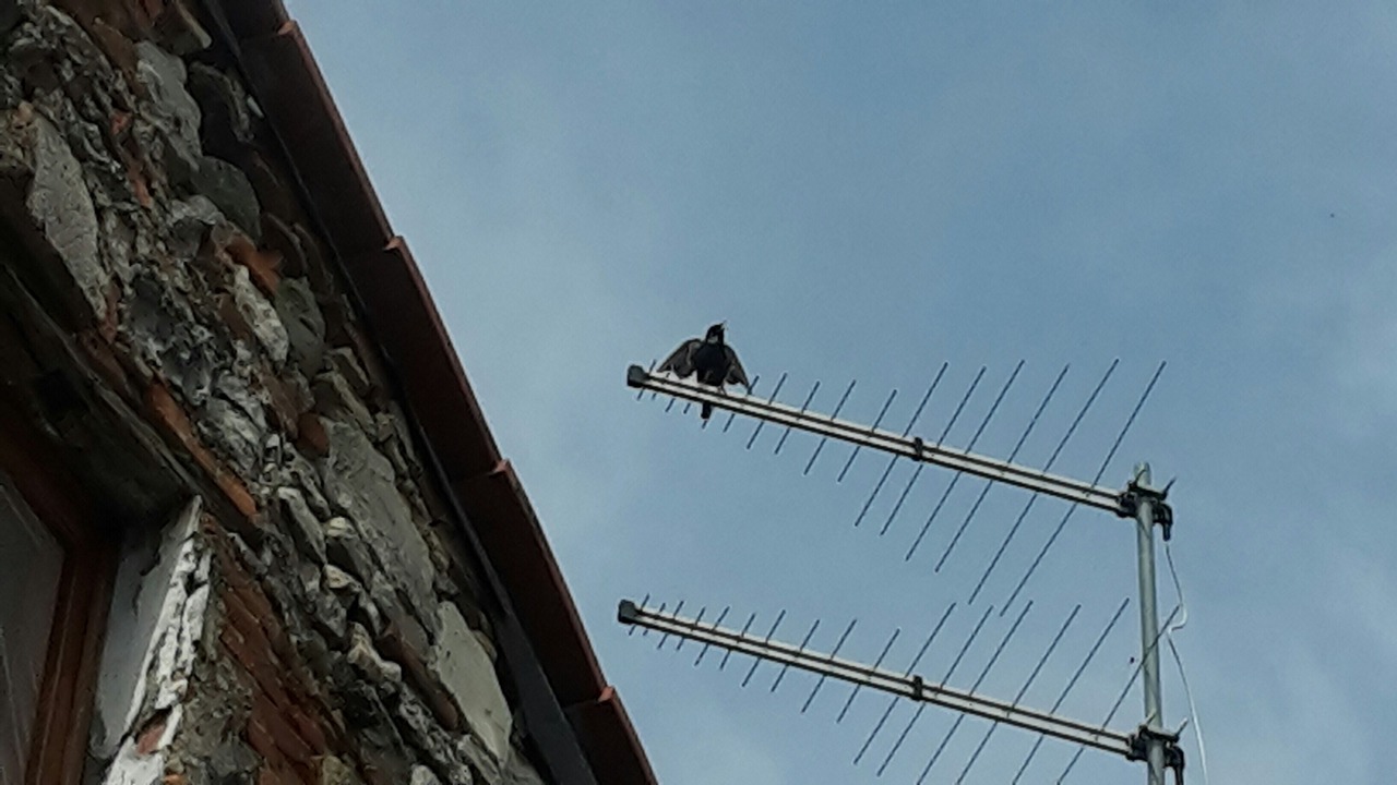 Photo of Outdoor in Nozanno