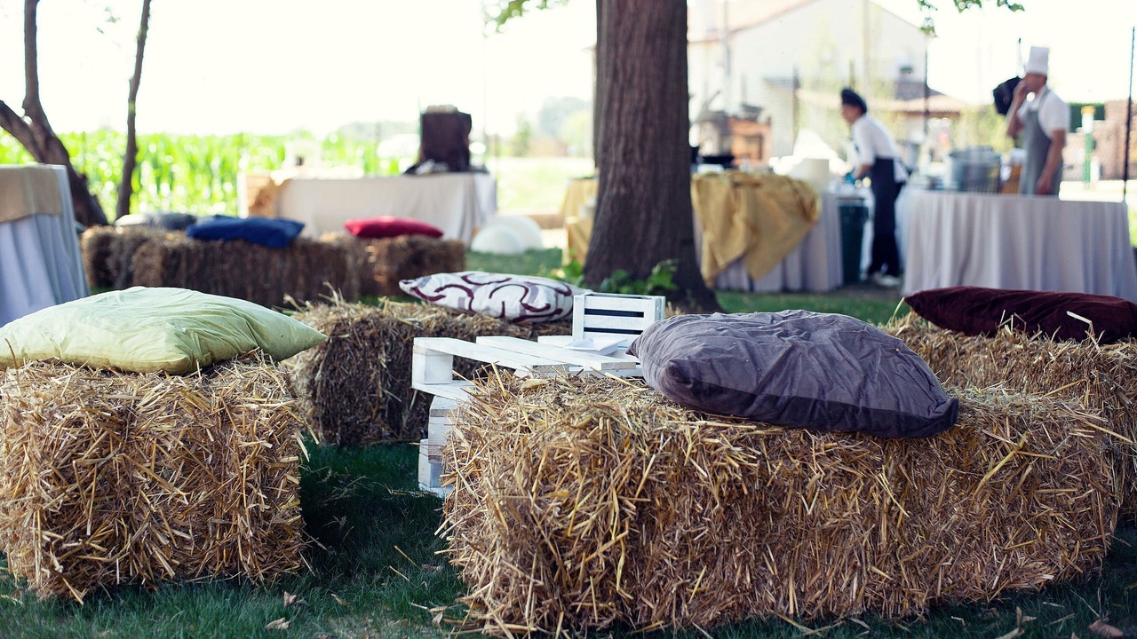 Photo of Outdoor in Mira