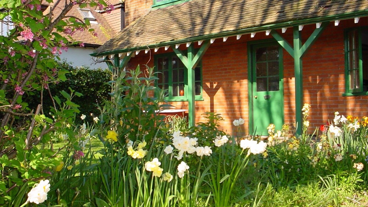 Photo of Outdoor in New Forest District