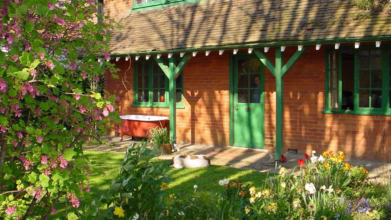 Photo of Outdoor in New Forest District