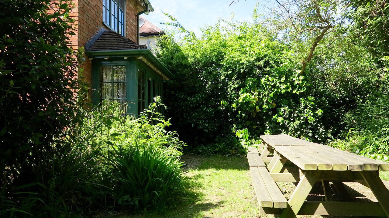 Photo of Outdoor in New Forest District
