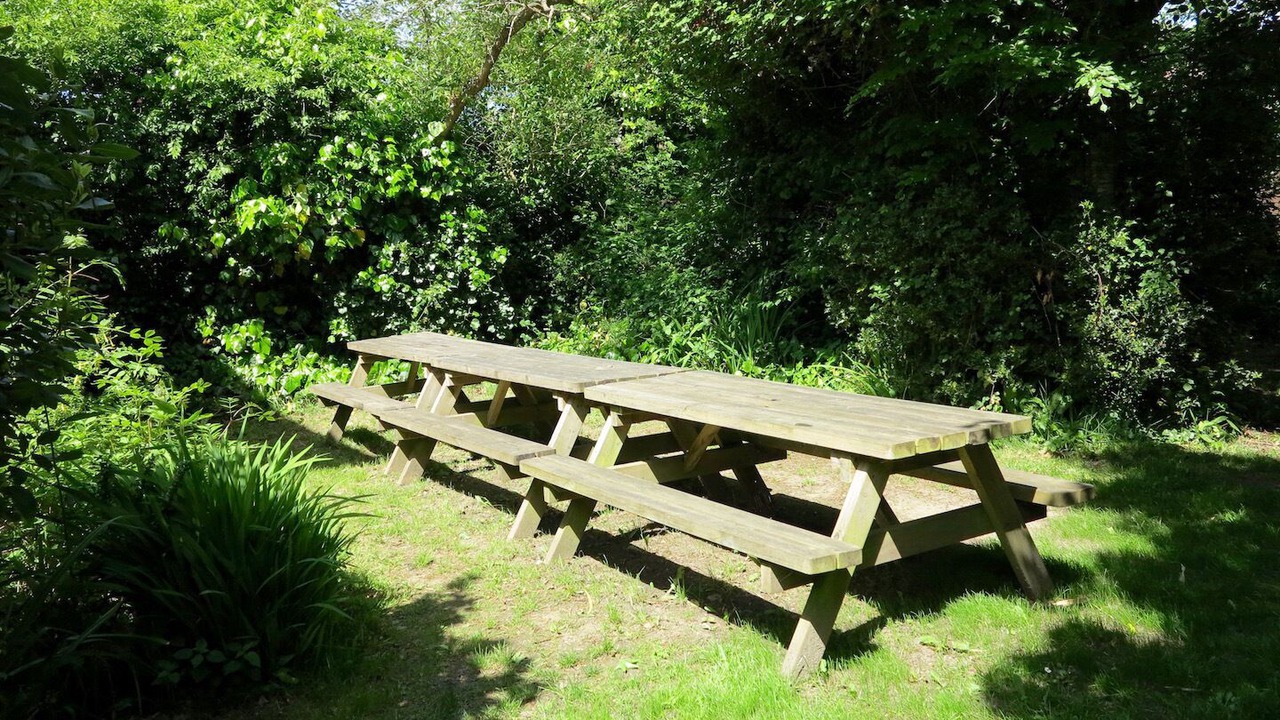Photo of Outdoor in New Forest District