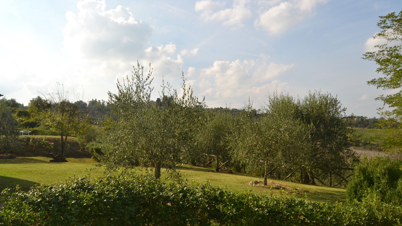 Photo of Outdoor in San Gimignano