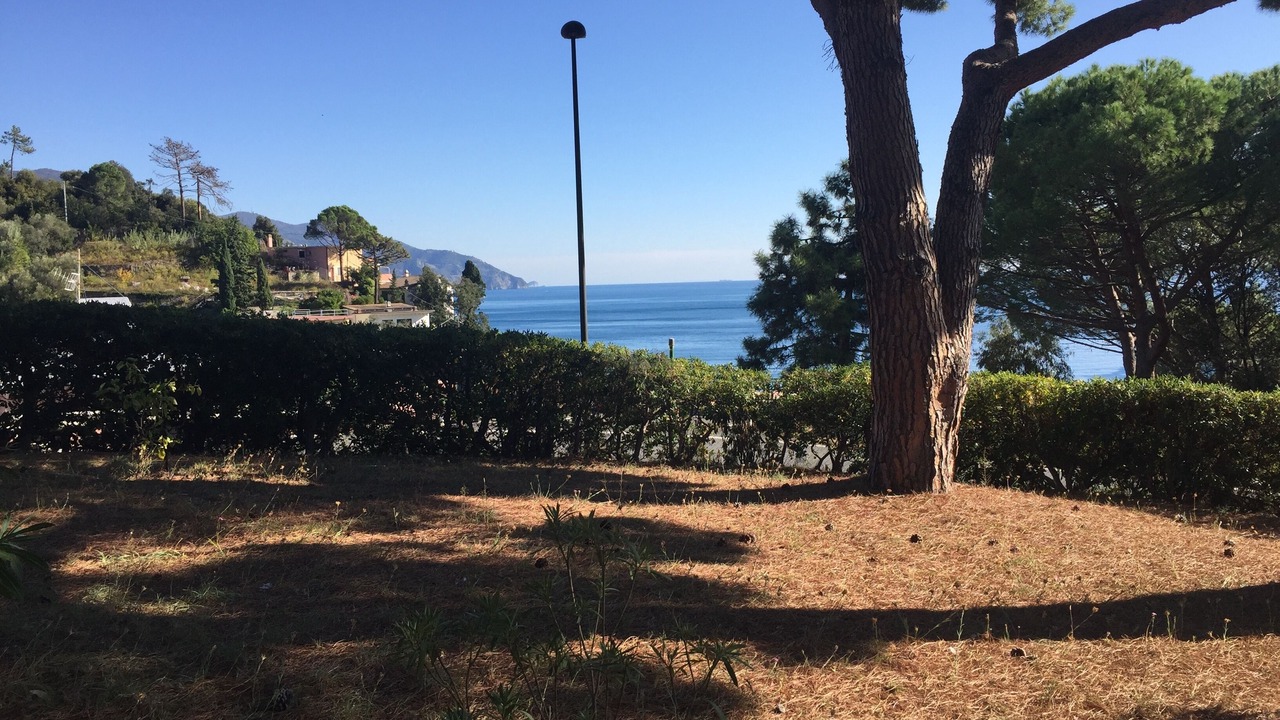 Photo of Outdoor in Cinque Terre